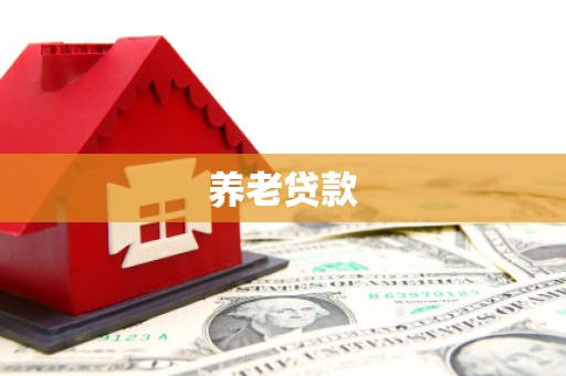 高淳养老贷款