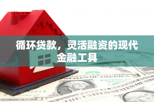 凤阳循环贷款，灵活融资的现代金融工具