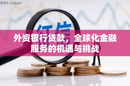 奉新外资银行贷款，全球化金融服务的机遇与挑战