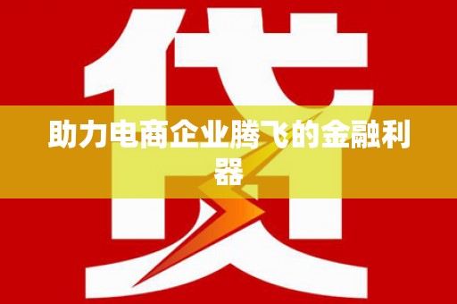 田阳助力电商企业腾飞的金融利器