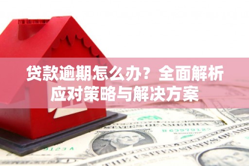 西双版纳贷款逾期怎么办？全面解析应对策略与解决方案