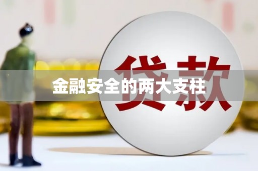 临翔金融安全的两大支柱