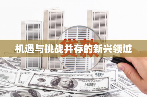 安县机遇与挑战并存的新兴领域