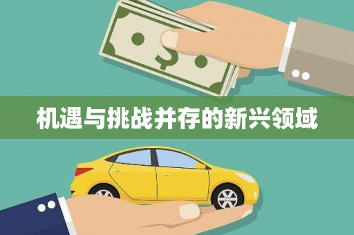 都江堰机遇与挑战并存的新兴领域