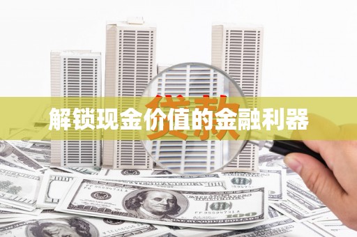 陆丰解锁现金价值的金融利器