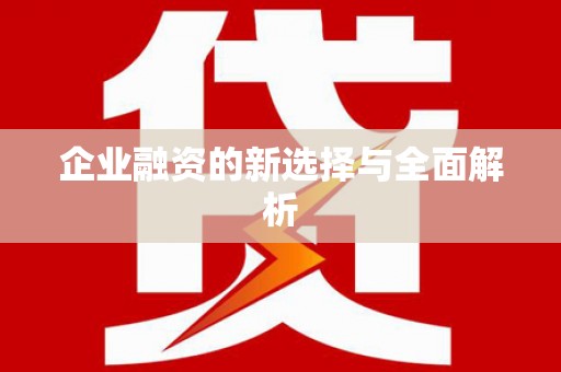 盐田企业融资的新选择与全面解析