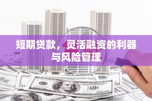 沙坪坝短期贷款，灵活融资的利器与风险管理