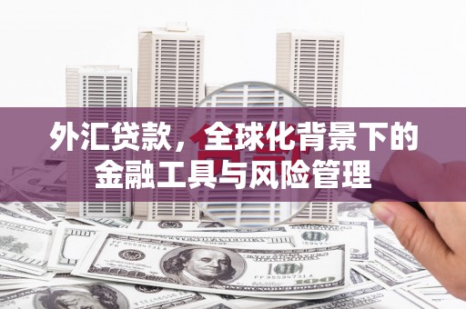 台南外汇贷款，全球化背景下的金融工具与风险管理